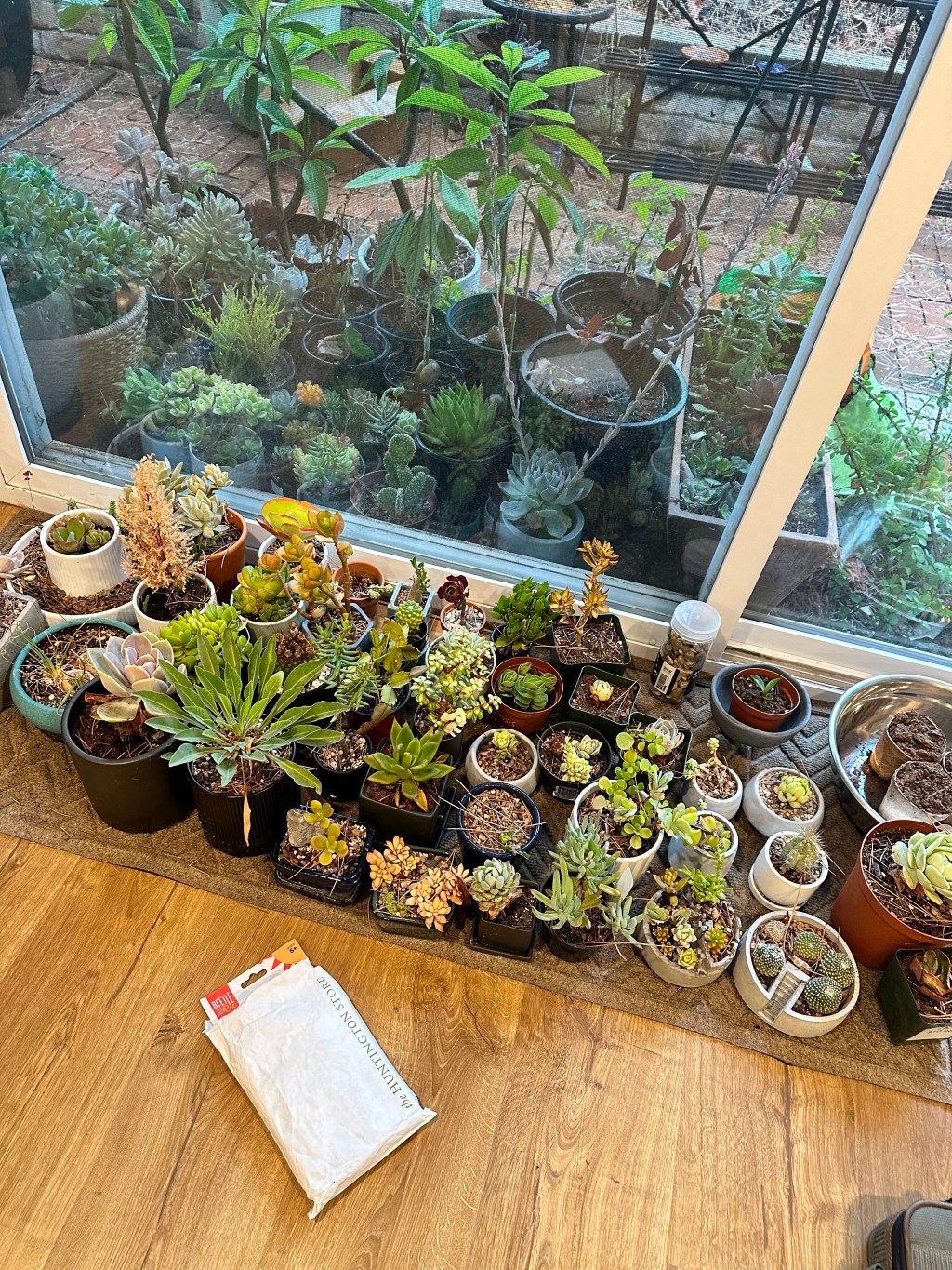 Hurricane Hilary, Attack on The&nbsp;Plants