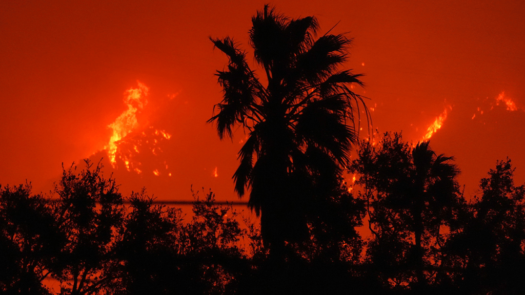 The Devastating Fires