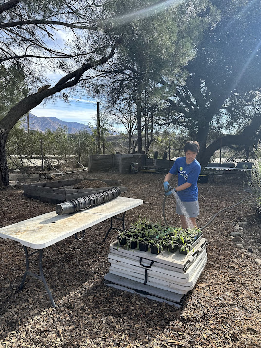 Volunteering at Hahamongna&nbsp;Nursery