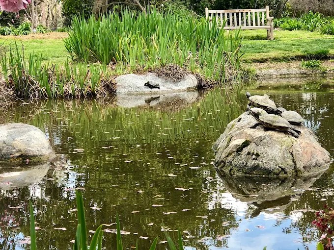 Volunteering at the LA&nbsp;Arboretum